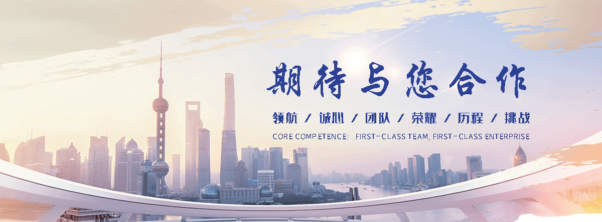 汉中海狮租赁公司